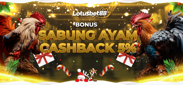 BONUS CASHBACK SABUNG AYAM